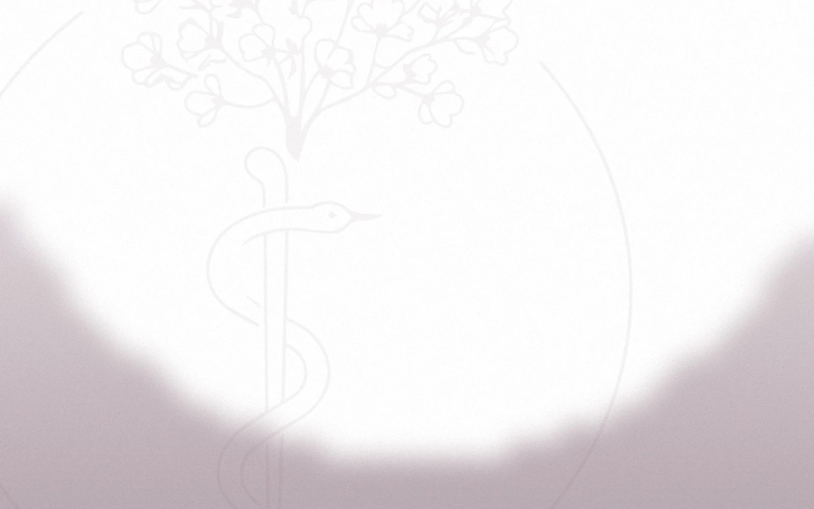 Consultorio de la doctora: un espacio limpio y tranquilo